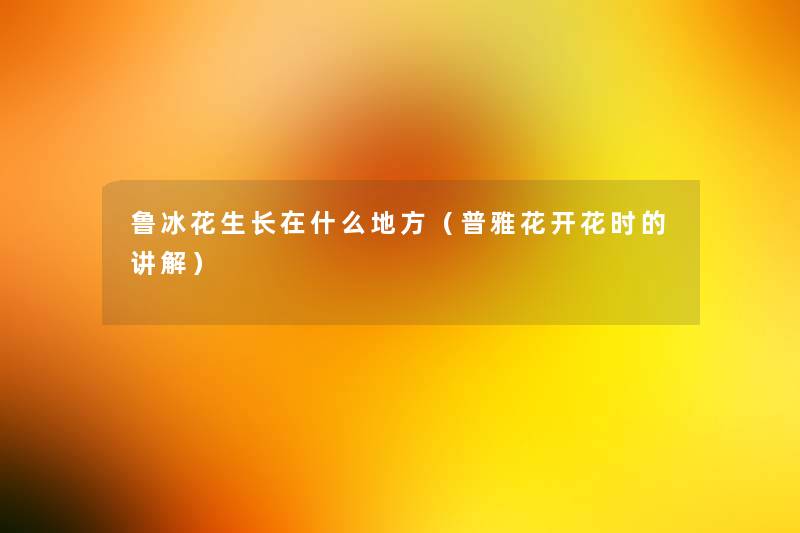 鲁冰花生长在什么地方(普雅花开花时的讲解) 鲁冰花生长在什么地方(普雅花开花时的讲解)