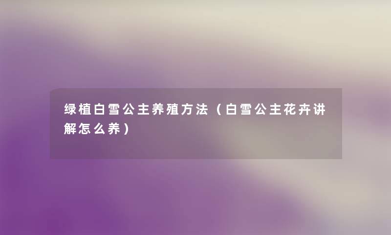 绿植白雪公主养殖方法（白雪公主花卉讲解怎么养）
