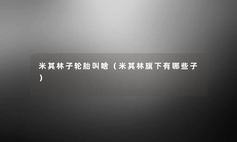 米其林子轮胎叫啥(米其林旗下有哪些子) 米其林子轮胎叫啥(米其林旗下有哪些子)