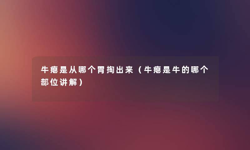 牛瘪是从哪个胃掏出来(牛瘪是牛的哪个部位讲解) 牛瘪是从哪个胃掏出来(牛瘪是牛的哪个部位讲解)