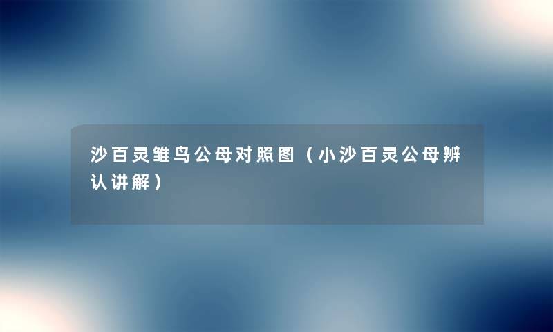 沙百灵雏鸟公母对比(小沙百灵公母辨认讲解) 沙百灵雏鸟公母对比(小沙百灵公母辨认讲解)