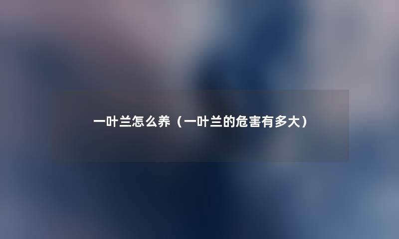 一叶兰怎么养（一叶兰的危害有多大）